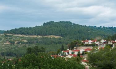 Hotel di Shlomi