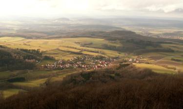 Hotels with Parking in Dammbach