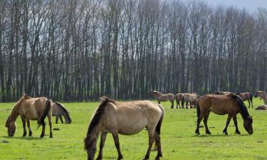 Hotels met Parkeren in Lippetal