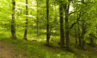 Parkolóval rendelkező hotelek Pomsterben