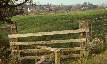 Cottages in Burpham