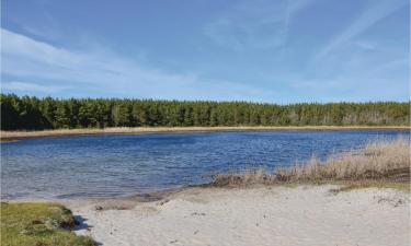 Cabañas y casas de campo en Vedersø Klit