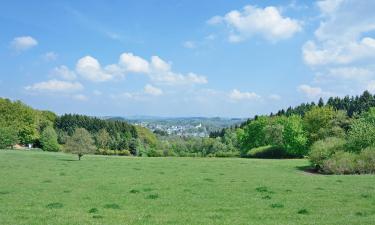 Hoteles en Bad Marienberg