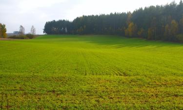 Hotellid sihtkohas Obrzycko