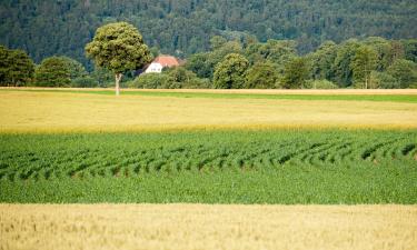 Allotjaments vacacionals a Les Geneveys-sur-Coffrane