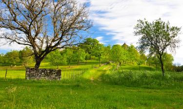 Alquileres temporarios en Saint-Amand-en-Puisaye