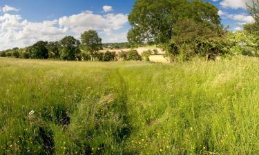 Hoteles familiares en Ballaghaderreen