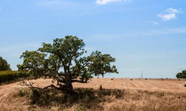 Hotely s parkováním v destinaci Bicos