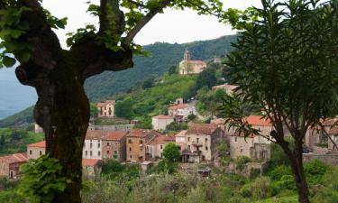 Cottages in Ocana