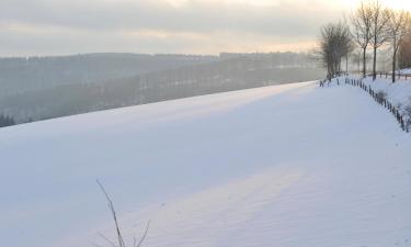 Hoteli u gradu 'Altastenberg'