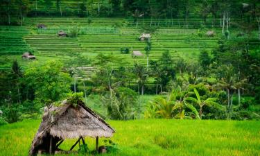 Hotel Keluarga di Manggis