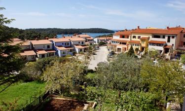 Apartments in Vinkuran