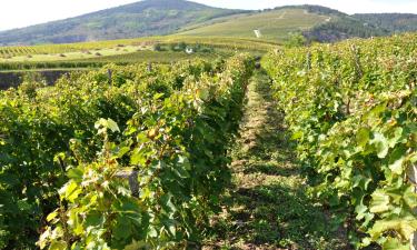 Holiday Rentals in Tokaj