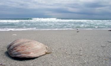 Hoteles de playa en Long Branch