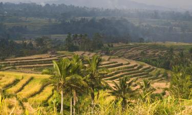 Beach rentals in Antasari