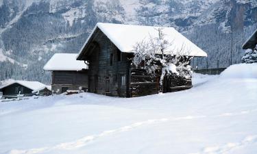 Apartamentos en Zinal