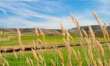 Family Hotels in Pozal de Gallinas