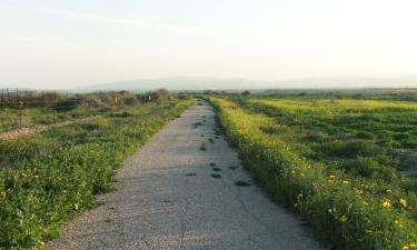 Жилье с кухней в городе Tirat Ẕevi