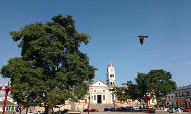 Cabañas y casas de campo en Anolaima