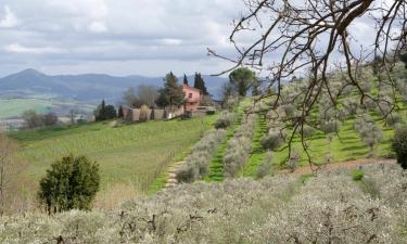 Holiday Rentals in Sassetta