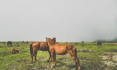 Hotellit kohteessa Kaapsehoop