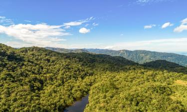 Los Naranjos şehrindeki otoparklar