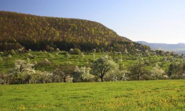 Ξενοδοχεία με πάρκινγκ σε Eningen unter Achalm