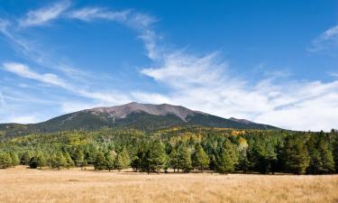 Holiday Homes in Parks