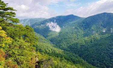 Hotels que accepten animals a Spruce Pine