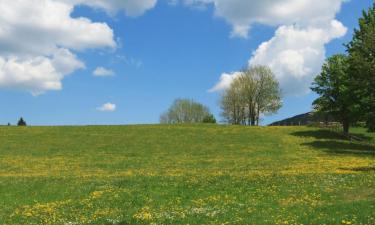 Hoteles con parking en Hofstetten