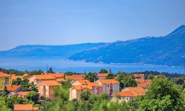 Vacation Rentals in Viskovo