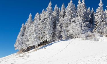 Hotellid sihtkohas La Vue des Alpes