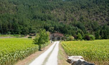 Alquileres temporarios en Antria