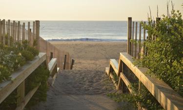 Hotel Mesra Haiwan Peliharaan di Bethany Beach