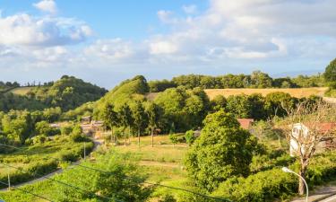 Bed & breakfast a Rocca Priora