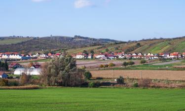 Hoteles en Bořetice