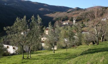 Hotel con parcheggio a Borgo a Buggiano