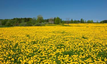 Family Hotels in Allrode