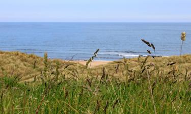 Vacaciones baratas en Hartlepool