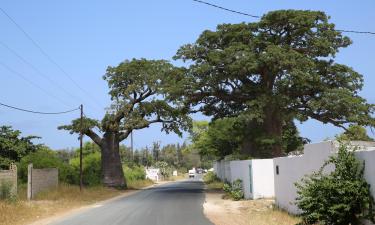 Cottages in Niaga