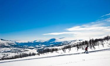 Campingplasser i Oppdal