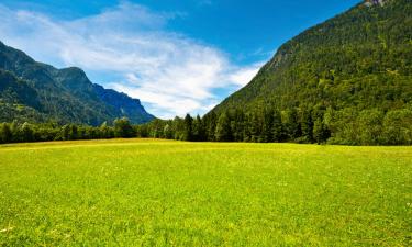 Alquileres vacacionales en Stryszawa