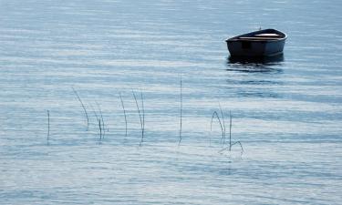 Campings en Parentis-en-Born