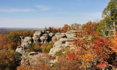 Hoteli u gradu 'Carbondale'