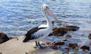 Hoteles en Wallaroo