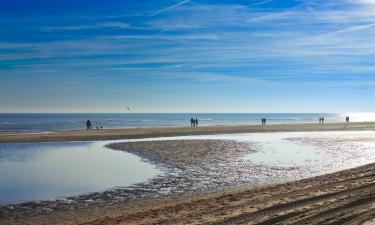 Hoteles en Castricum