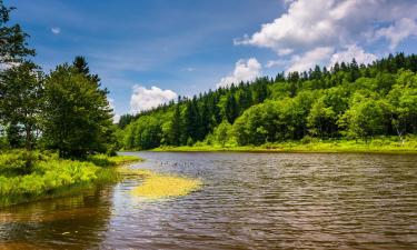 Готелі, де можна проживати з хатніми тваринами у місті Девіс