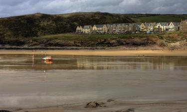 Hoteles que admiten mascotas en Polzeath