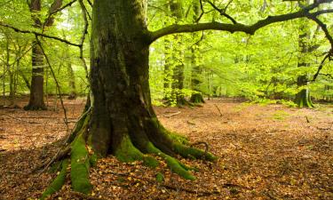 Ubytování v soukromí v destinaci Fontenay-sous-Bois