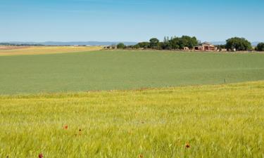 Alquileres vacacionales en Navas de Estena